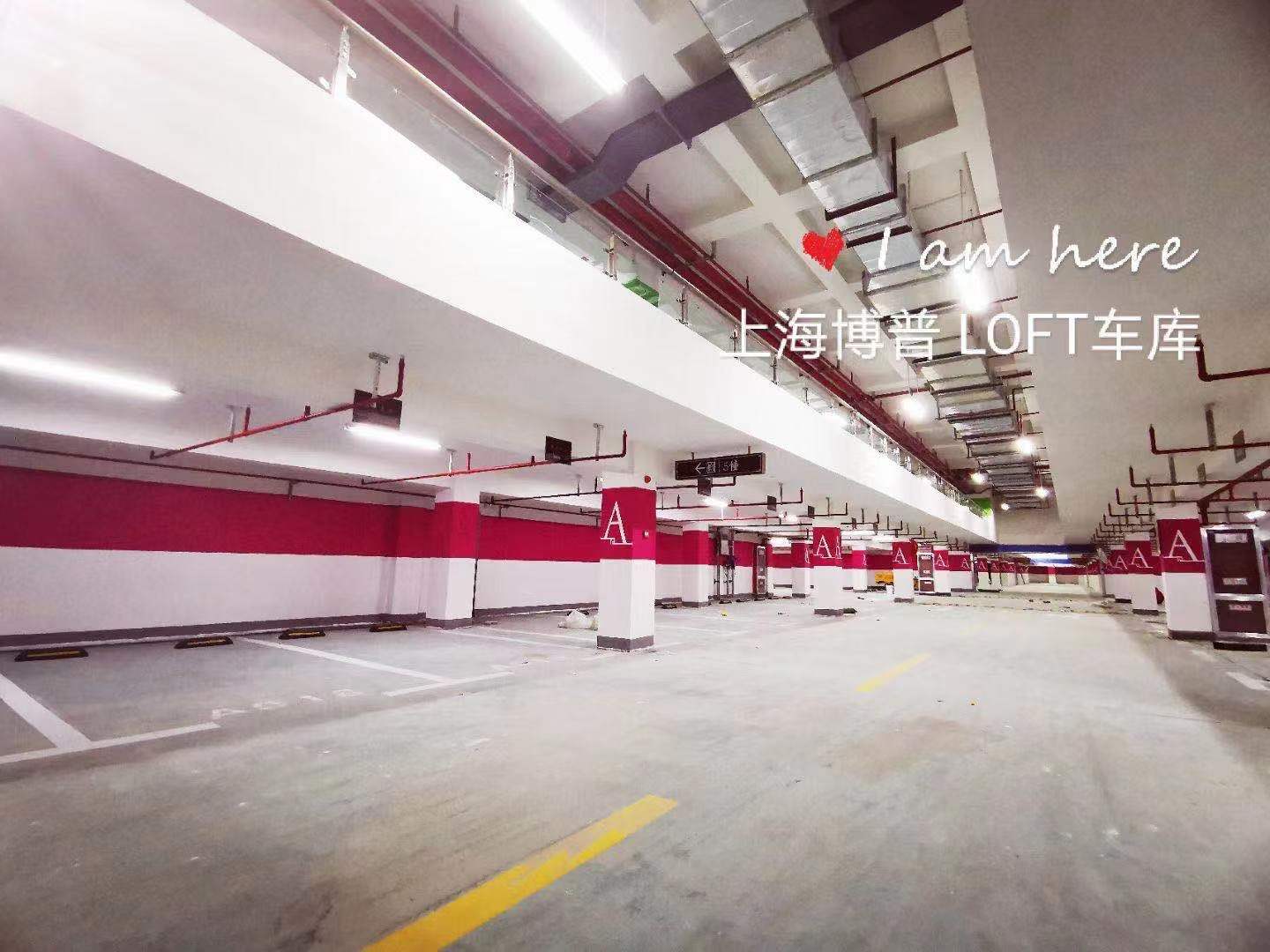 嘉兴已交竣的绿城豪华LOFT专利车库效果惊艳！
